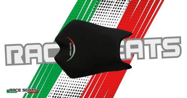 Aprilia RSV4 2015 - RSV4 RF/RR 2015 - Tuono V4 factory 2009/20 - Tuono V4 APRC | Competition line